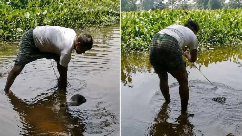 চট্টগ্রামে কুকুরকে পানিতে ডুবিয়ে হত্যা, জড়িতদের শনাক্তে অভিয