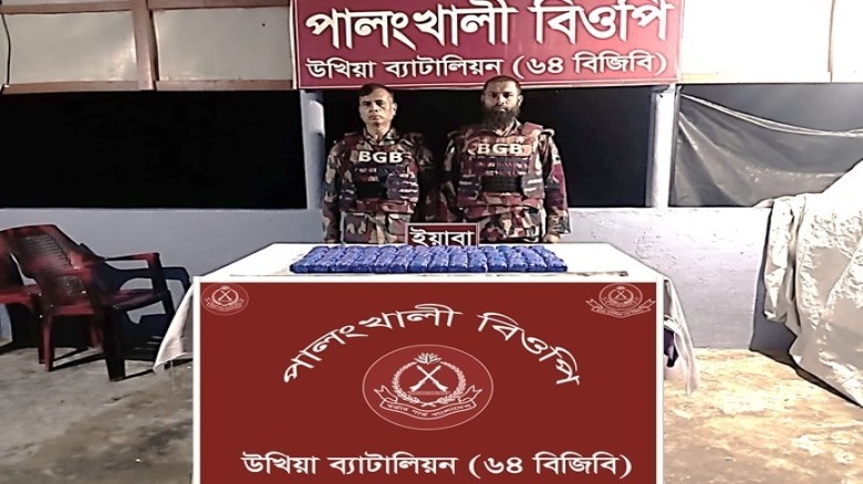 উখিয়ায় বিজিবির অভিযানে ১ লাখ ৪০ হাজার পিস ইয়াবা উদ্ধার