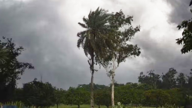 ভারী বৃষ্টি নিয়ে নতুন বার্তা দিল আবহাওয়া অফিস