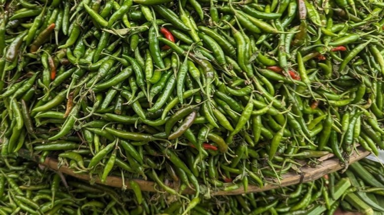 কাঁচামরিচ আমদানির অনুমতি দিল সরকার