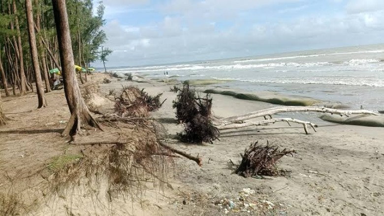 কক্সবাজারে ভয়াবহ সমুদ্রভাঙন, জিওব্যাগেও মিলছে না সমাধান