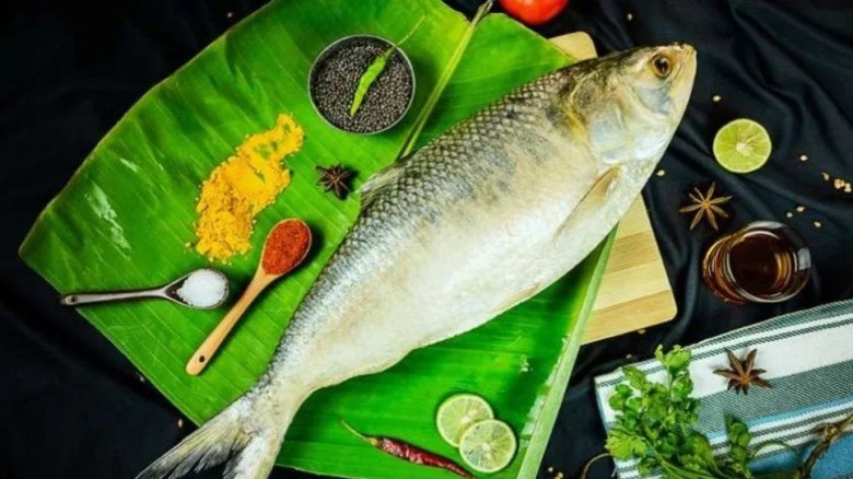 ইলিশের স্বাদ অটুট রাখতে সংরক্ষণের ৩ উপায়...