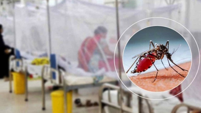 ডেঙ্গুতে একদিনে সর্বোচ্চ মৃত্যু, হাসপাতালে ভর্তির রেকর্ড