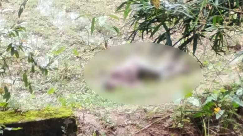 চকরিয়ায় সড়কের পাশে অজ্ঞাত ব্যক্তির মরদেহ উদ্ধার...