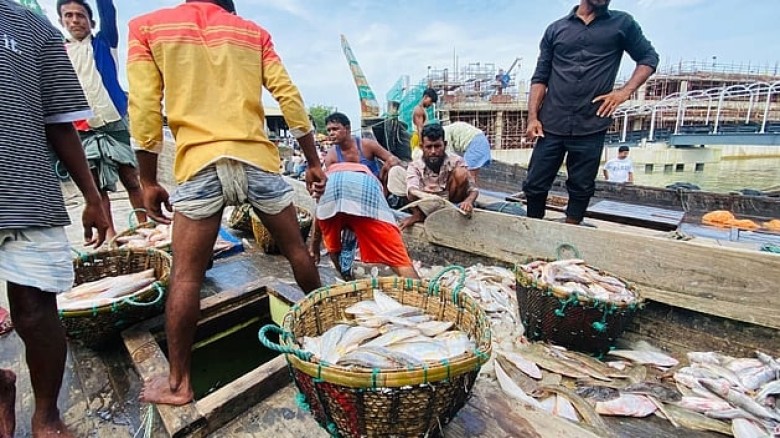 ছয় দিন সাগরে, শেষ দিনে ধরা পড়লো ২৬ লাখ টাকার ইলিশ