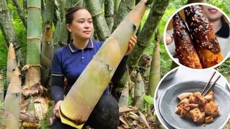 যেসব দেশের মানুষ প্রচুর বাঁশ খায়