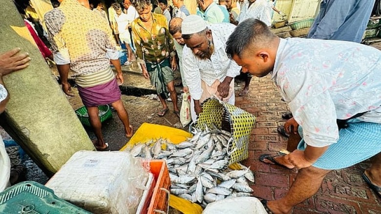 কক্সবাজারের চোঁয়ার ফাঁড়ি বাজারে প্রতিদিন ৫ কোটি টাকার মাছ বি